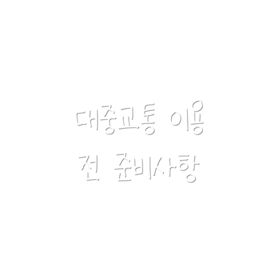 대중교통 이용 전 준비사항