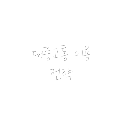 대중교통 이용 전략