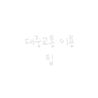 대중교통 이용 팁