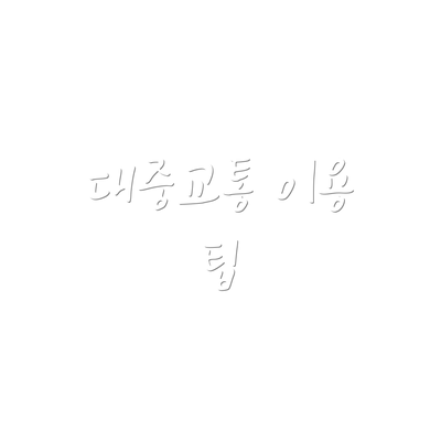 대중교통 이용 팁