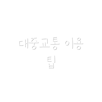 대중교통 이용 팁