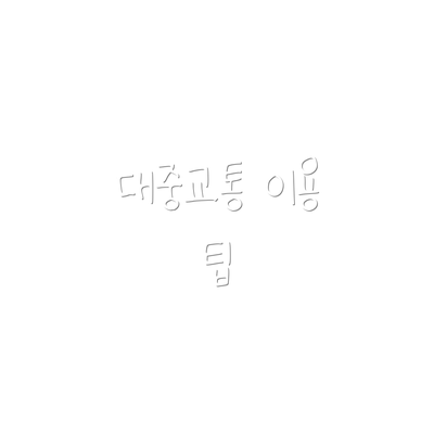 대중교통 이용 팁