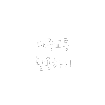 대중교통 활용하기