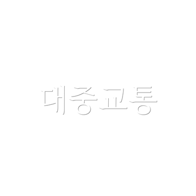 대중교통
