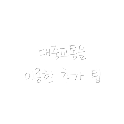 대중교통을 이용한 추가 팁