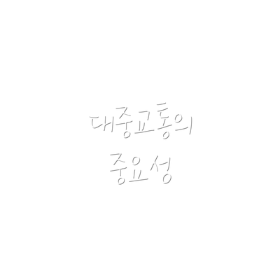 대중교통의 중요성