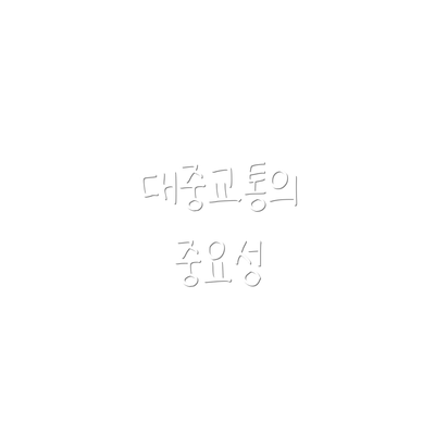 대중교통의 중요성