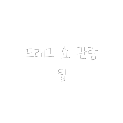 드래그 쇼 관람 팁