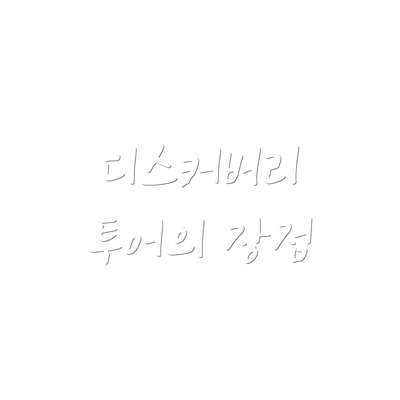 디스커버리 투어의 장점