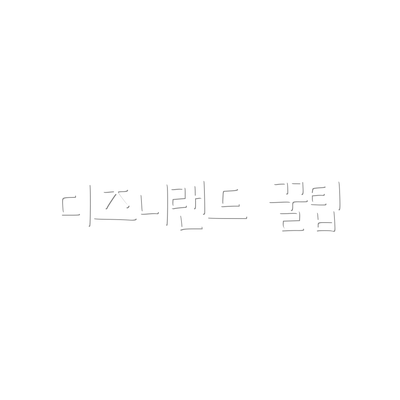 디즈니랜드 꿀팁