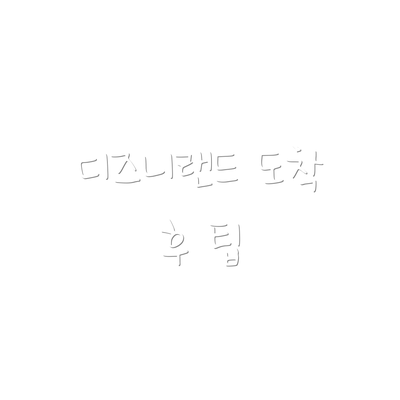 디즈니랜드 도착 후 팁