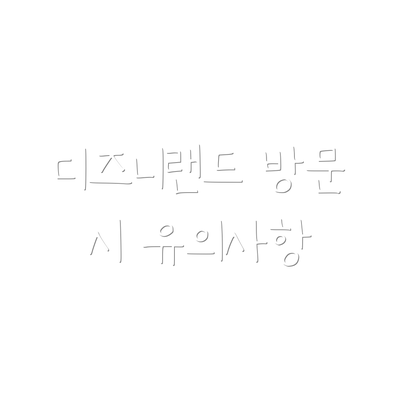 디즈니랜드 방문 시 유의사항