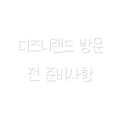 디즈니랜드 방문 전 준비사항