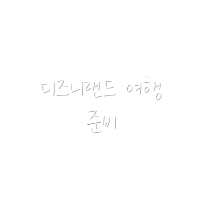 디즈니랜드 여행 준비