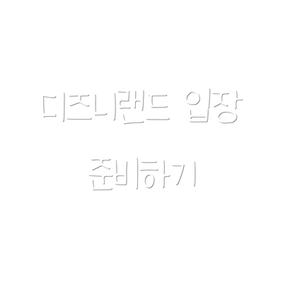 디즈니랜드 입장 준비하기