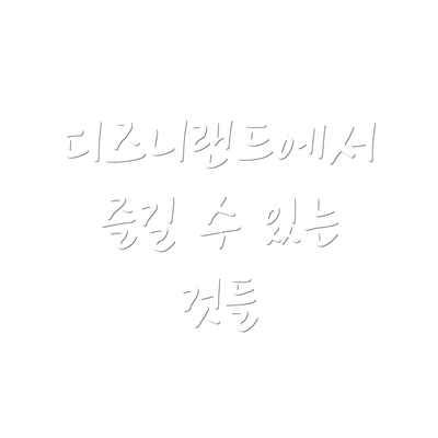디즈니랜드에서 즐길 수 있는 것들