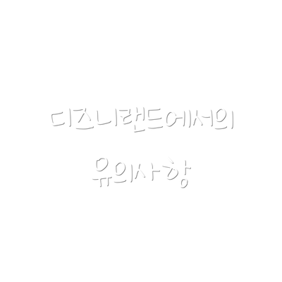 디즈니랜드에서의 유의사항