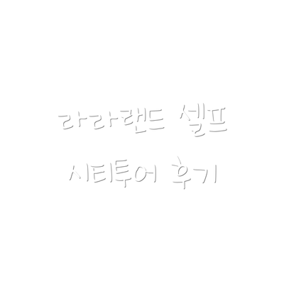 라라랜드 셀프 시티투어 후기