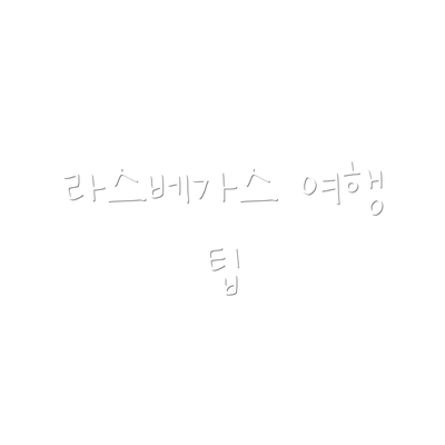 라스베가스 여행 팁