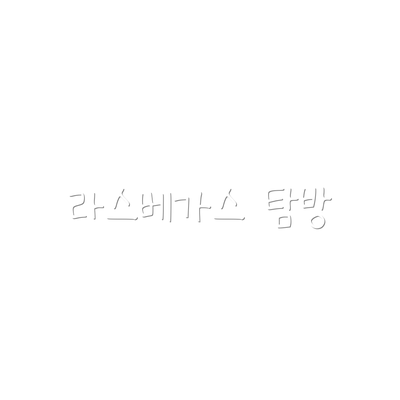 라스베가스 탐방
