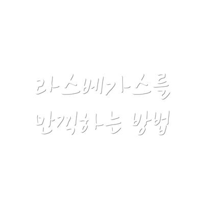 라스베가스를 만끽하는 방법