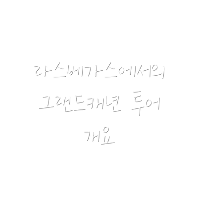 라스베가스에서의 그랜드캐년 투어 개요