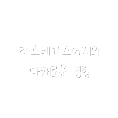 라스베가스에서의 다채로운 경험