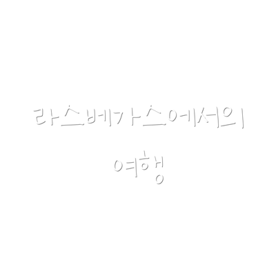 라스베가스에서의 여행