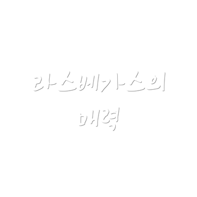 라스베가스의 매력