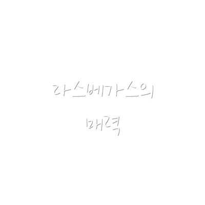 라스베가스의 매력