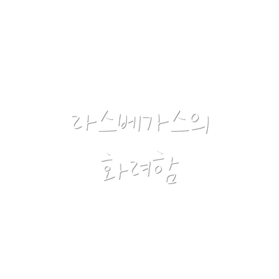 라스베가스의 화려함