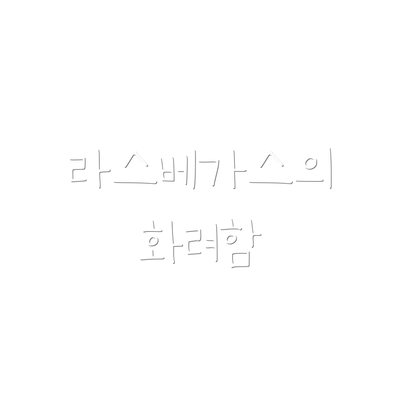 라스베가스의 화려함