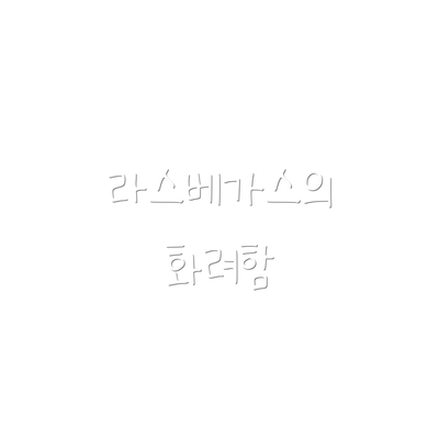 라스베가스의 화려함