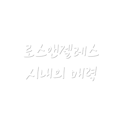 로스앤젤레스 시내의 매력