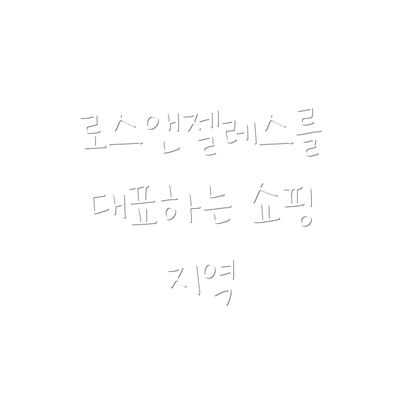 로스앤젤레스를 대표하는 쇼핑 지역