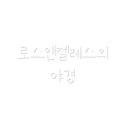 로스앤젤레스의 야경