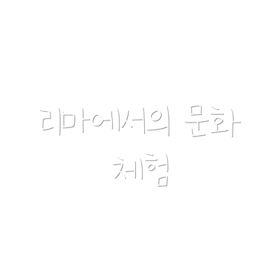 리마에서의 문화 체험