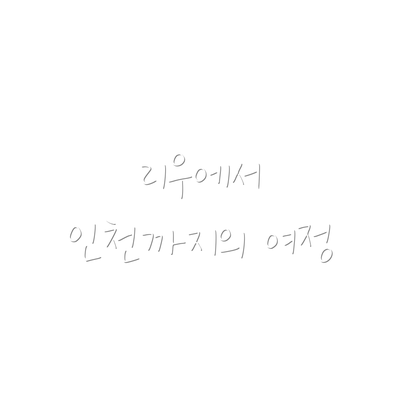 리우에서 인천까지의 여정