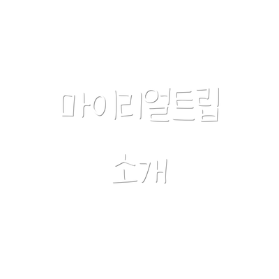 마이리얼트립 소개