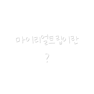 마이리얼트립이란?