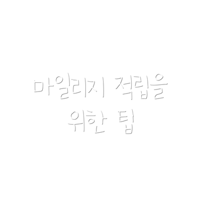 마일리지 적립을 위한 팁