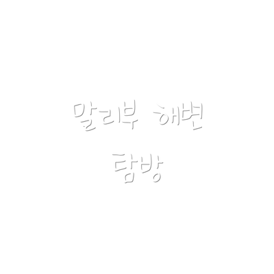 말리부 해변 탐방
