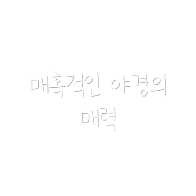 매혹적인 야경의 매력