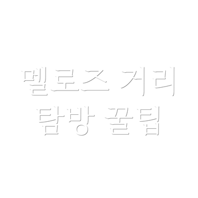 멜로즈 거리 탐방 꿀팁