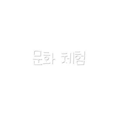 문화 체험