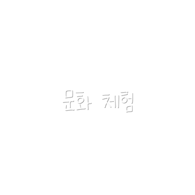 문화 체험