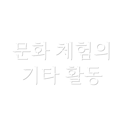 문화 체험의 기타 활동