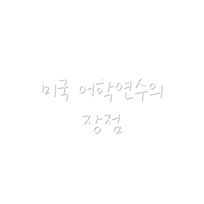 미국 어학연수의 장점