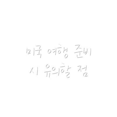 미국 여행 준비 시 유의할 점