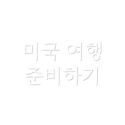 미국 여행 준비하기